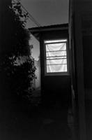 finestra-illuminata-wessel.jpg